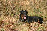 BEAUCERON 1034